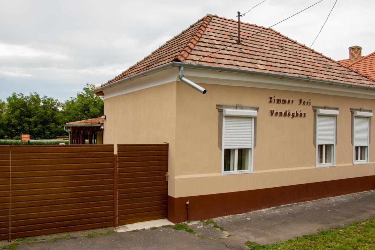 Hotel Zimmer Feri Vendégház Abaújszántó Esterno foto
