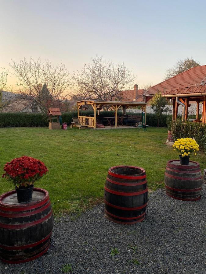 Hotel Zimmer Feri Vendégház Abaújszántó Esterno foto